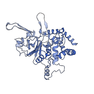 40236_8s94_D_v1-2
Structure of C-terminal domains of Walker B mutated MCM8/9 heterohexamer complex with ADP