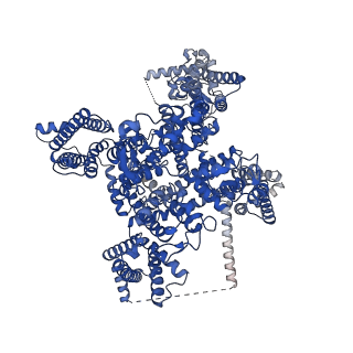 40238_8s9b_A_v1-0
Cryo-EM structure of Nav1.7 with LCM