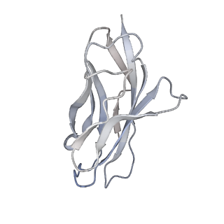 40238_8s9b_C_v1-0
Cryo-EM structure of Nav1.7 with LCM