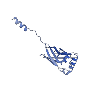 40245_8s9s_10_v1-2
Structure of the human ER membrane protein complex (EMC) in GDN