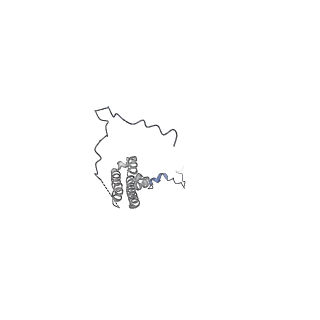 40245_8s9s_4_v1-2
Structure of the human ER membrane protein complex (EMC) in GDN