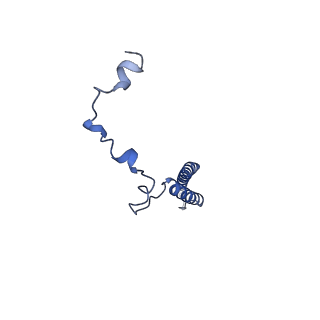 40245_8s9s_5_v1-2
Structure of the human ER membrane protein complex (EMC) in GDN