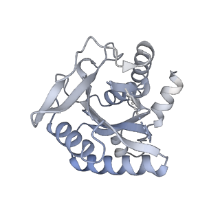 40245_8s9s_8_v1-2
Structure of the human ER membrane protein complex (EMC) in GDN
