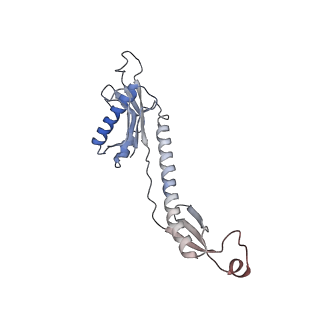 24944_7sa4_8_v1-0
Damaged 70S ribosome with PrfH bound