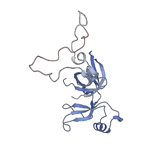 24944_7sa4_C_v1-0
Damaged 70S ribosome with PrfH bound