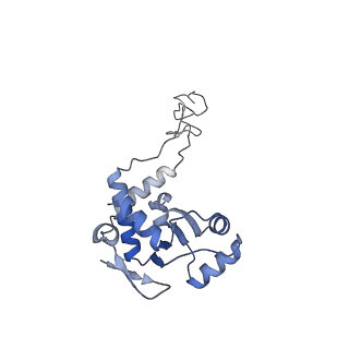24944_7sa4_D_v1-0
Damaged 70S ribosome with PrfH bound