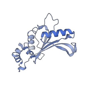 24944_7sa4_E_v1-0
Damaged 70S ribosome with PrfH bound