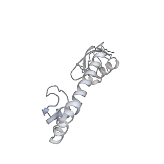 24944_7sa4_G_v1-0
Damaged 70S ribosome with PrfH bound
