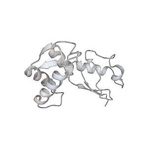 24944_7sa4_I_v1-0
Damaged 70S ribosome with PrfH bound