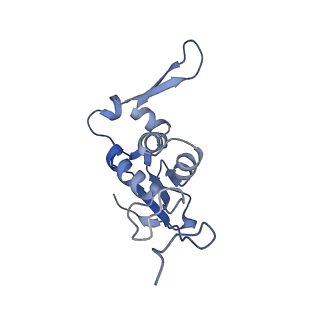 24944_7sa4_J_v1-0
Damaged 70S ribosome with PrfH bound