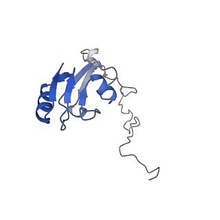 24944_7sa4_L_v1-0
Damaged 70S ribosome with PrfH bound
