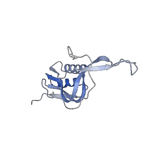 24944_7sa4_M_v1-0
Damaged 70S ribosome with PrfH bound
