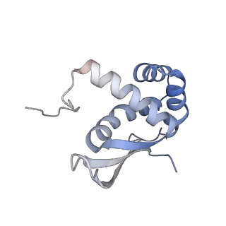 24944_7sa4_N_v1-0
Damaged 70S ribosome with PrfH bound