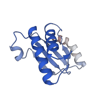24944_7sa4_O_v1-0
Damaged 70S ribosome with PrfH bound