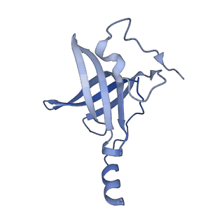 24944_7sa4_P_v1-0
Damaged 70S ribosome with PrfH bound