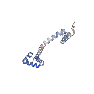 24944_7sa4_Q_v1-0
Damaged 70S ribosome with PrfH bound