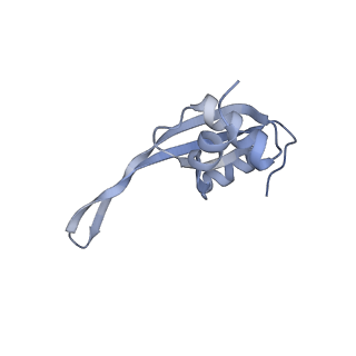 24944_7sa4_T_v1-0
Damaged 70S ribosome with PrfH bound