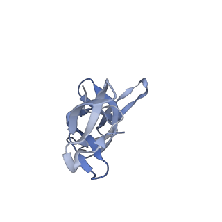 24944_7sa4_U_v1-0
Damaged 70S ribosome with PrfH bound