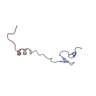 24944_7sa4_b_v1-0
Damaged 70S ribosome with PrfH bound