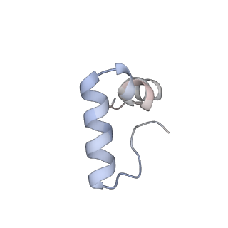 24944_7sa4_d_v1-0
Damaged 70S ribosome with PrfH bound
