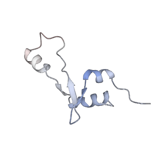 24944_7sa4_e_v1-0
Damaged 70S ribosome with PrfH bound