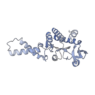 24944_7sa4_g_v1-0
Damaged 70S ribosome with PrfH bound