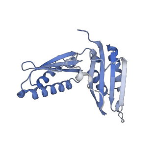 24944_7sa4_h_v1-0
Damaged 70S ribosome with PrfH bound