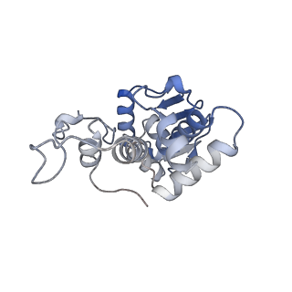 24944_7sa4_i_v1-0
Damaged 70S ribosome with PrfH bound