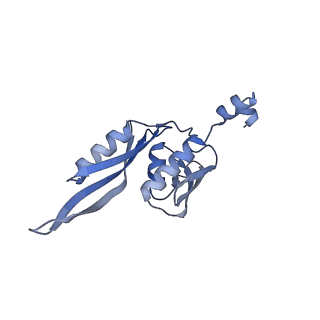 24944_7sa4_j_v1-0
Damaged 70S ribosome with PrfH bound