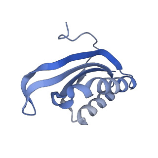 24944_7sa4_k_v1-0
Damaged 70S ribosome with PrfH bound