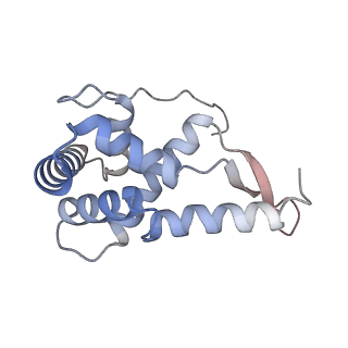 24944_7sa4_l_v1-0
Damaged 70S ribosome with PrfH bound
