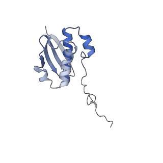24944_7sa4_n_v1-0
Damaged 70S ribosome with PrfH bound