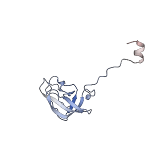 24944_7sa4_q_v1-0
Damaged 70S ribosome with PrfH bound