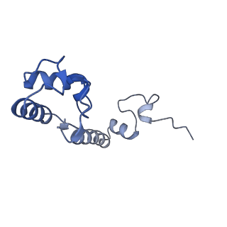 24944_7sa4_r_v1-0
Damaged 70S ribosome with PrfH bound
