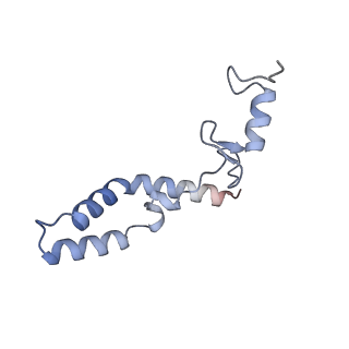 24944_7sa4_s_v1-0
Damaged 70S ribosome with PrfH bound
