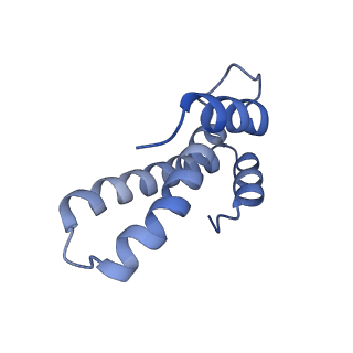 24944_7sa4_t_v1-0
Damaged 70S ribosome with PrfH bound