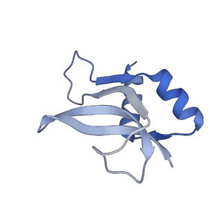 24944_7sa4_u_v1-0
Damaged 70S ribosome with PrfH bound