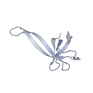 24944_7sa4_v_v1-0
Damaged 70S ribosome with PrfH bound