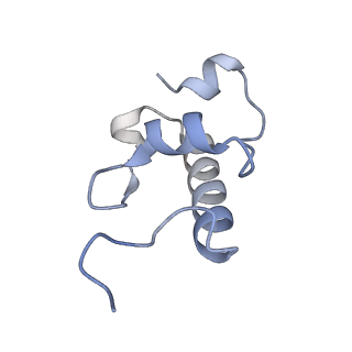24944_7sa4_w_v1-0
Damaged 70S ribosome with PrfH bound