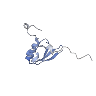 24944_7sa4_x_v1-0
Damaged 70S ribosome with PrfH bound