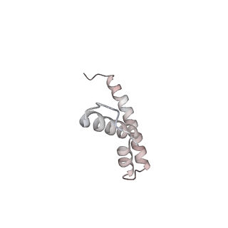 24944_7sa4_z_v1-0
Damaged 70S ribosome with PrfH bound
