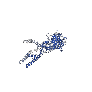 24946_7saa_C_v1-0
Glycine and glutamate bound GluN1a-GluN2B NMDA receptors in non-active 1 conformation at 2.97 Angstrom resolution