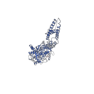 24947_7sab_A_v1-0
Phencyclidine-bound GluN1a-GluN2B NMDA receptors