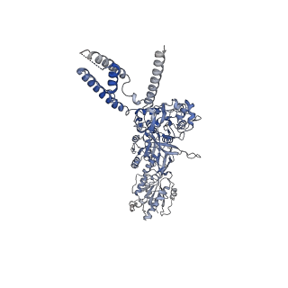 24947_7sab_B_v1-0
Phencyclidine-bound GluN1a-GluN2B NMDA receptors