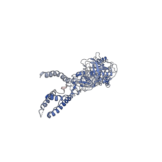 24947_7sab_C_v1-0
Phencyclidine-bound GluN1a-GluN2B NMDA receptors