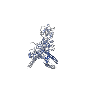 24947_7sab_D_v1-0
Phencyclidine-bound GluN1a-GluN2B NMDA receptors