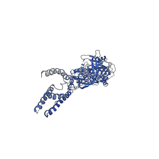 24948_7sac_A_v1-1
S-(+)-ketamine bound GluN1a-GluN2B NMDA receptors at 3.69 Angstrom resolution