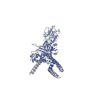 24948_7sac_B_v1-1
S-(+)-ketamine bound GluN1a-GluN2B NMDA receptors at 3.69 Angstrom resolution