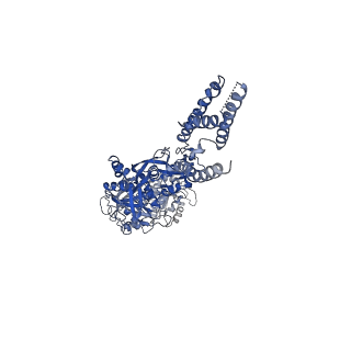 24948_7sac_C_v1-1
S-(+)-ketamine bound GluN1a-GluN2B NMDA receptors at 3.69 Angstrom resolution