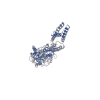 24949_7sad_A_v1-0
Memantine-bound GluN1a-GluN2B NMDA receptors